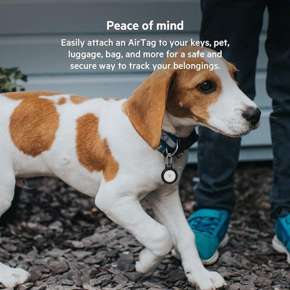 Belkin Apple AirTag Secure Holder with Key Ring - Picture 4 of 5